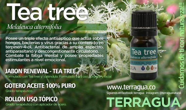 Aceite esencial puro de Tea Tree - Imagen 5