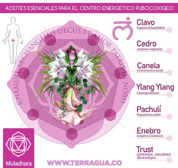Estuche Amor verdadero Luz del Arcangel Chamuel - Imagen 6